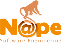 Nape Software Engineering